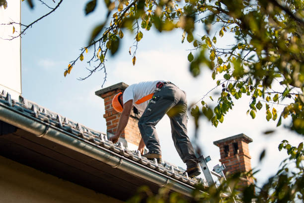 Best Gutter Installation and Repair  in Pierce, CO